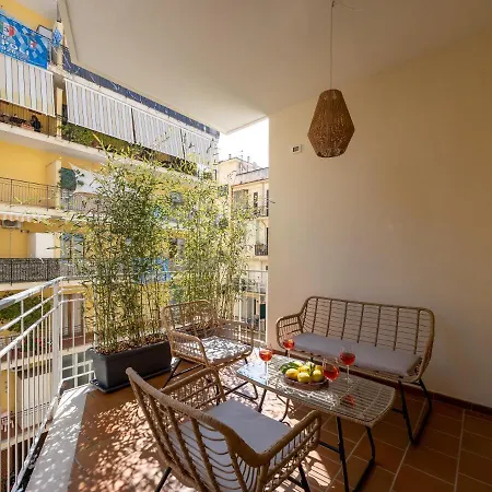 Surya House - Elegant In *